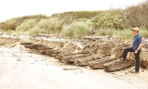 A visitor views the remains of the massive keel ribs of the 1924 shipwreck Acme on the beach near Bandon Dunes Golf Resort;