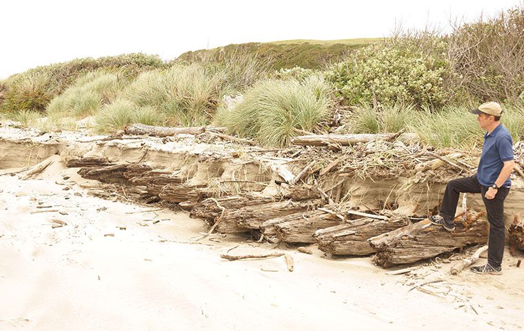 A visitor views the remains of the massive keel ribs of the 1924 shipwreck Acme on the beach near Bandon Dunes Golf Resort;