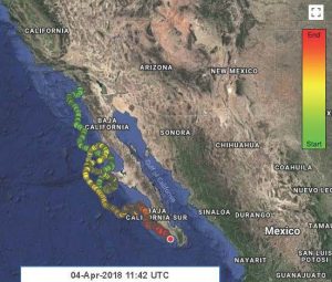 Sea-Turtle-Tracking-Lightning